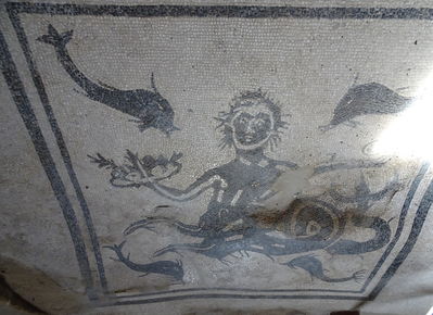 sea goddess at herculaneum
