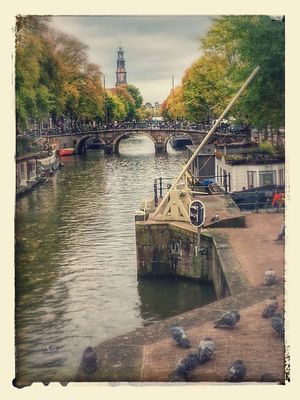 postcardified view down the canal in amsterdam, with officious pigeons
